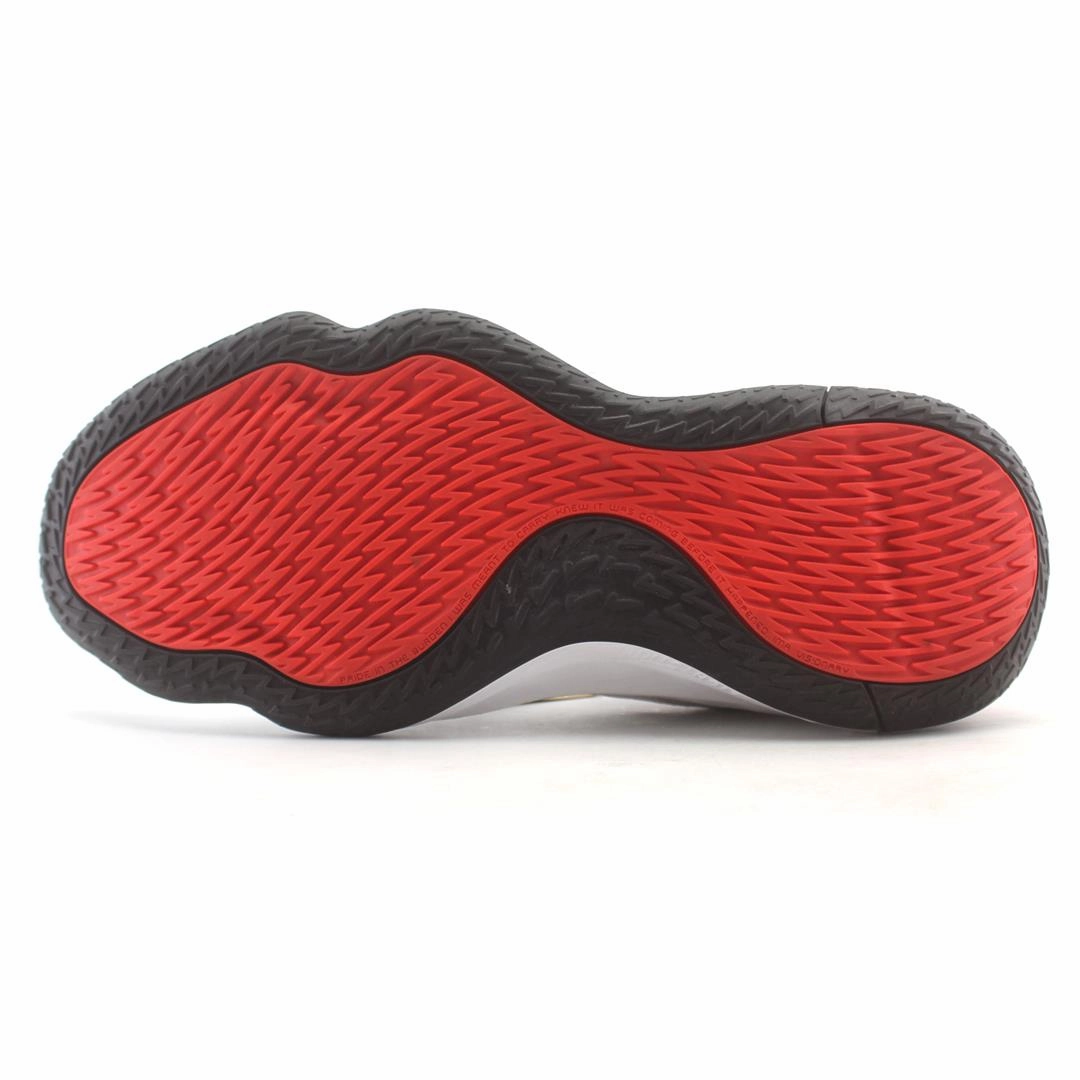 The Greek Freak Basketball Shoes ADIDAS  DAME 7