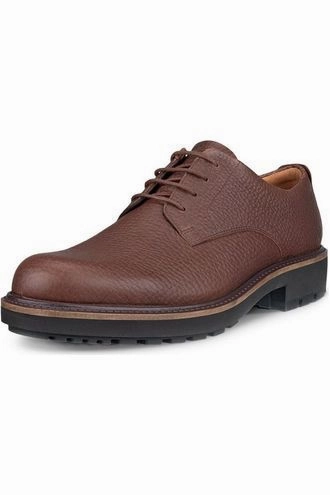 Shoe Boots ECCO Metropole Oslo Potting Soil 550224 01667