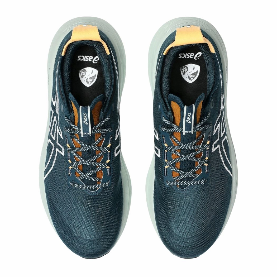 asics Gel-Nimbus 27 TR Men's Trail Running Shoes Best Trail Walking Shoes