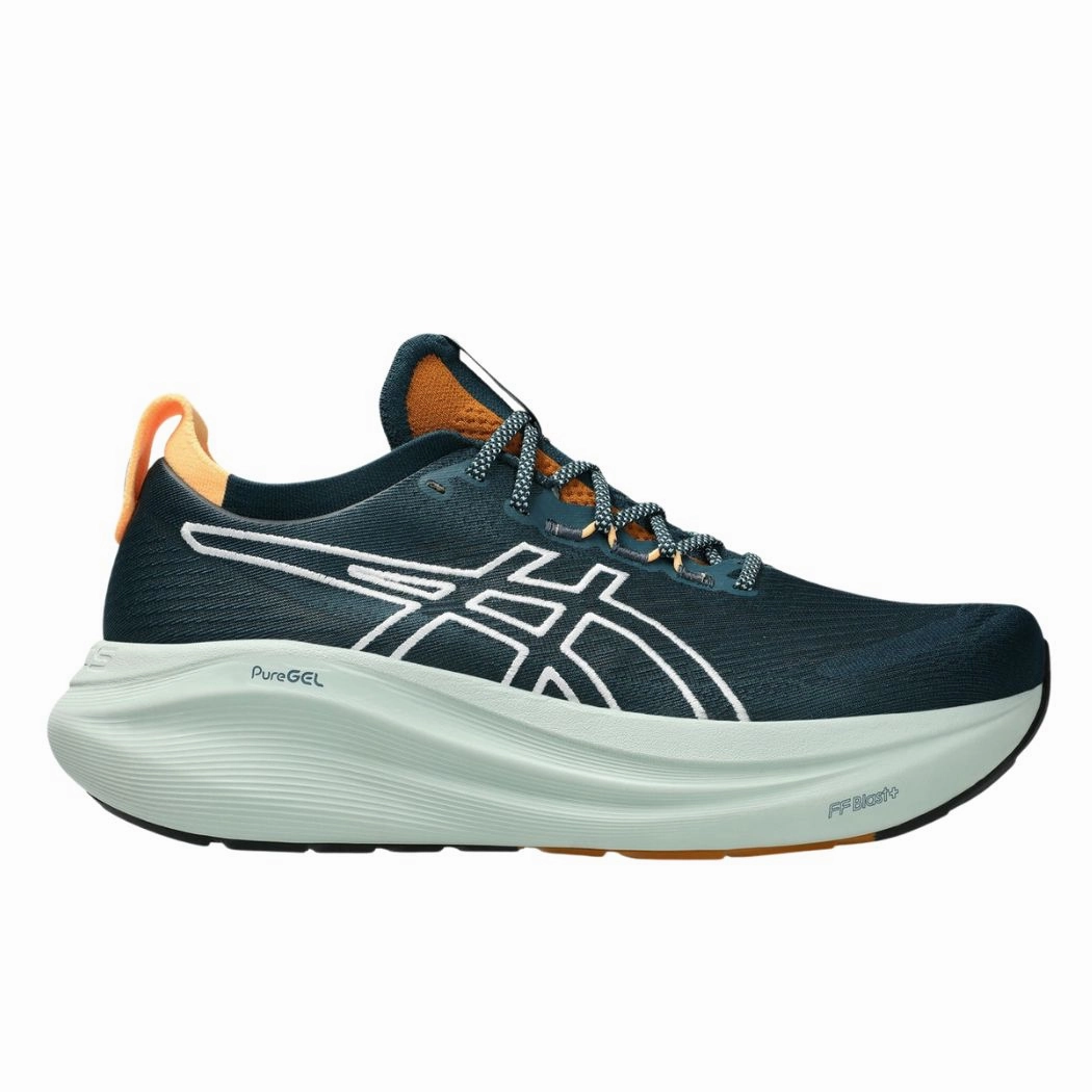 Trail Shoes Gore-tex asics Gel-Nimbus 27 TR Men's Trail Running Shoes