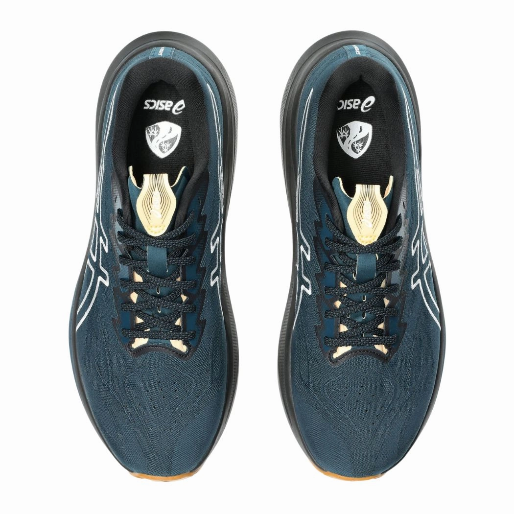 Best Trail Running Shoe Brands asics GT-2000 14 TR Men's Trail Running Shoes