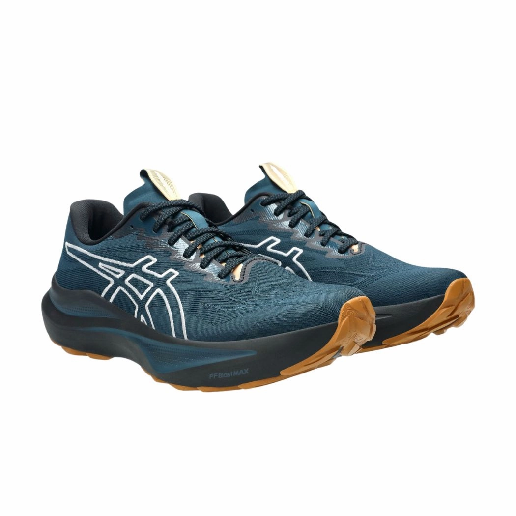 asics GT-2000 14 TR Men's Trail Running Shoes The Man With Shoe Trailer