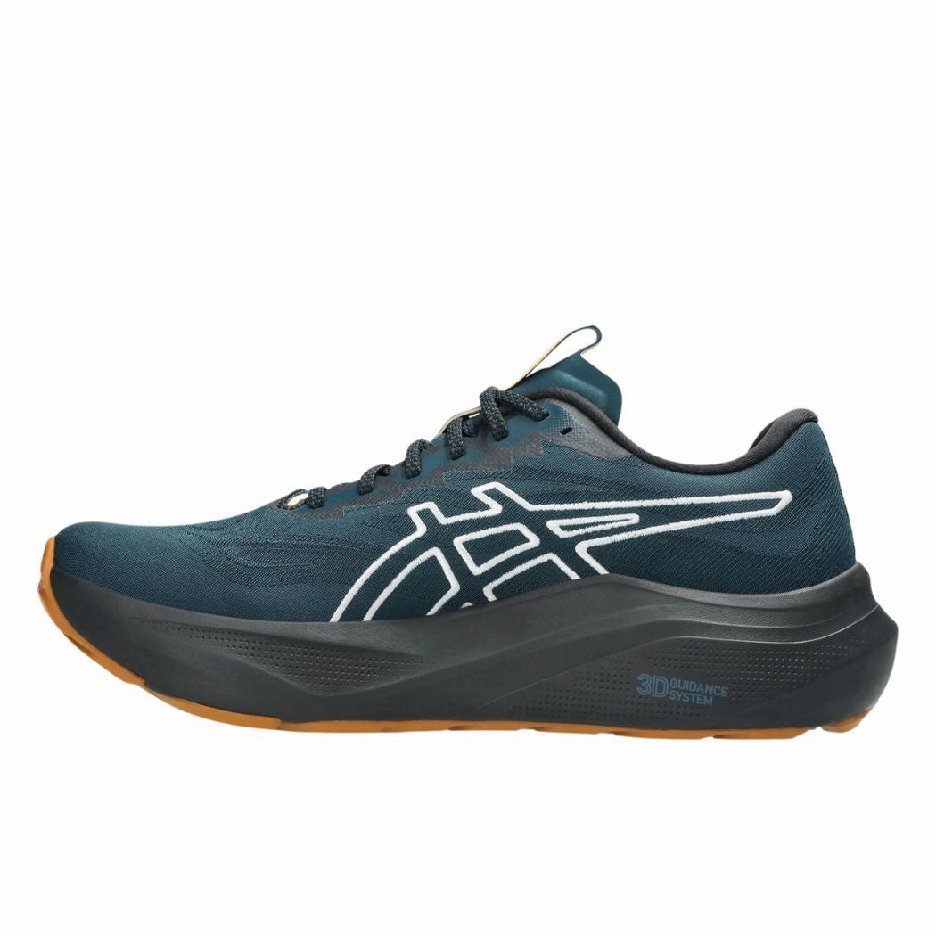 asics GT-2000 14 TR Men's Trail Running Shoes Wide Gore Tex Trail Running Shoes