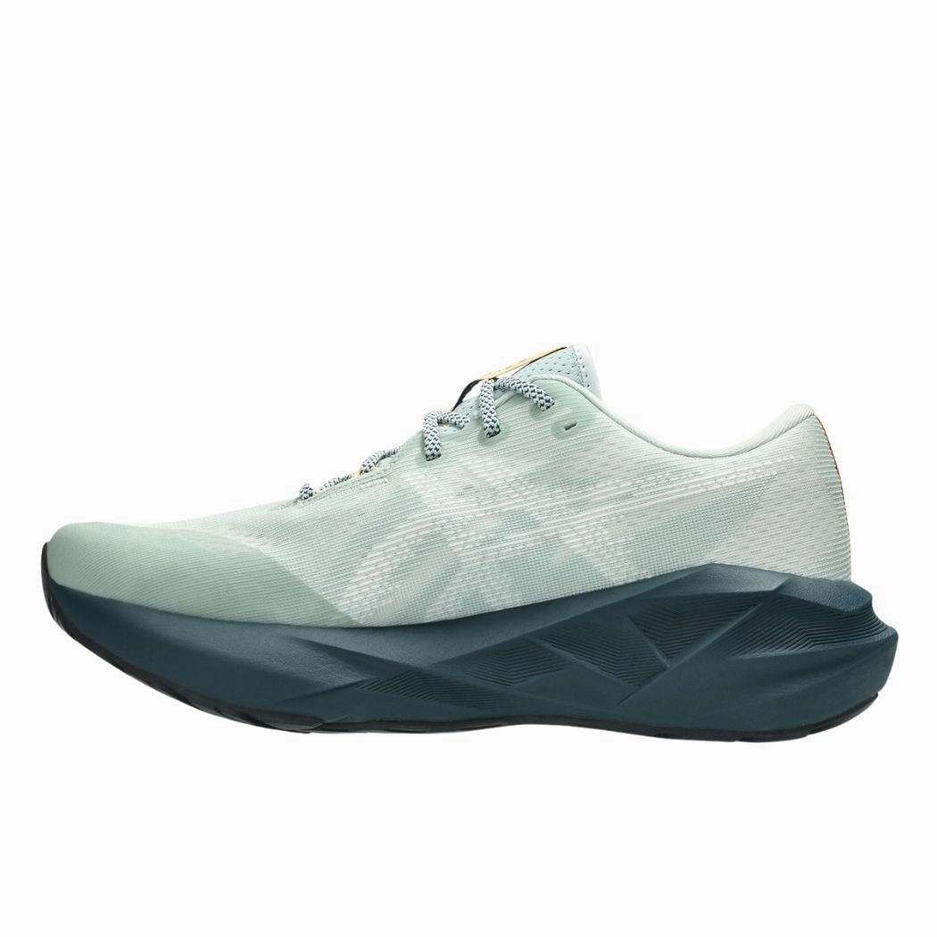 Trail Running Shoes 2017 Review asics Novablast 5 TR Men's Trail Running Shoes