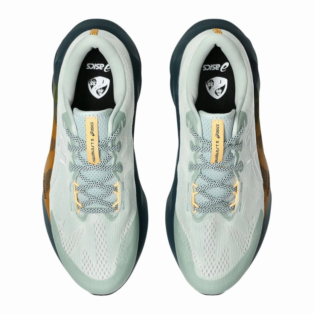 asics Novablast 5 TR Men's Trail Running Shoes Best Trail Running Shoes Ever