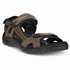 Ecco Yucatan Tarmac Nubuck Sport Sandal (Men's) Lace Up Sandals Heels