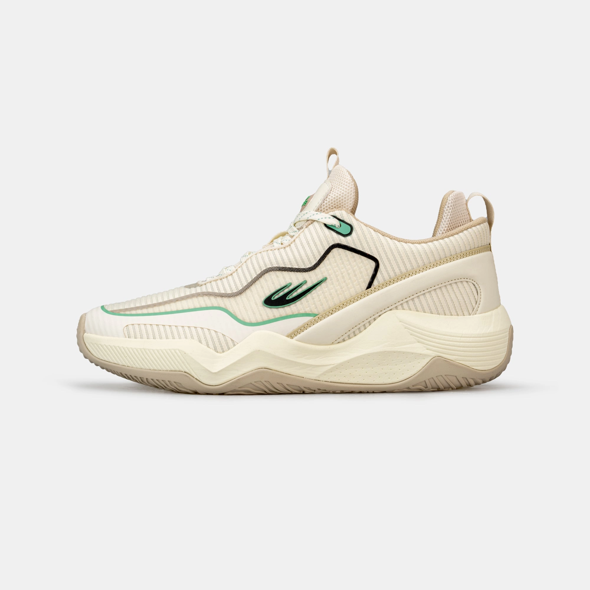 STEP THROUGH Lebron Basketball Shoes Review