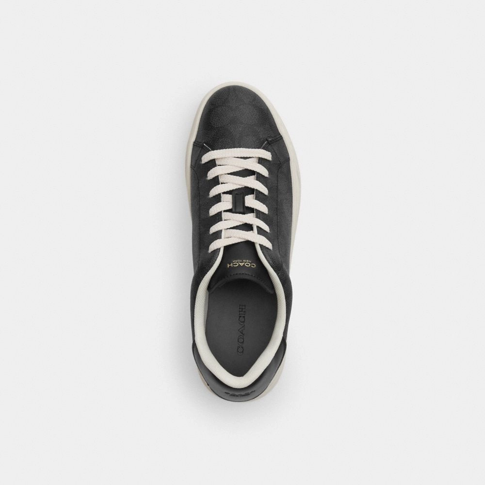 Coach High Line Sneaker In Signature Canvas Charcoal Black Unif Trail Shoes