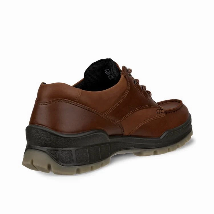 Ecco Men's Track 25 Moc GTX Shoe - Bison/Bison Orthofeet Oxfords
