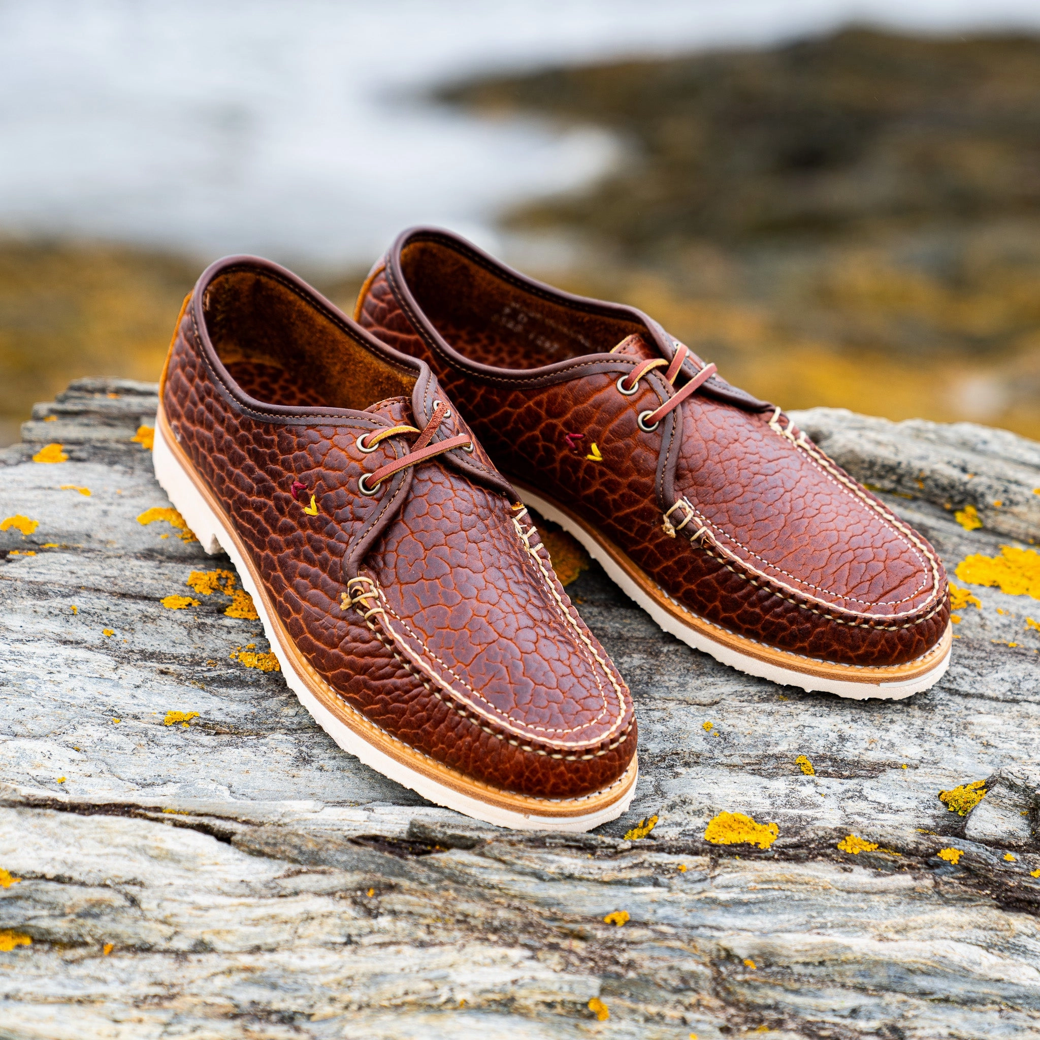 Lace-up Dress Shoes Casco Derby - Cognac Bison