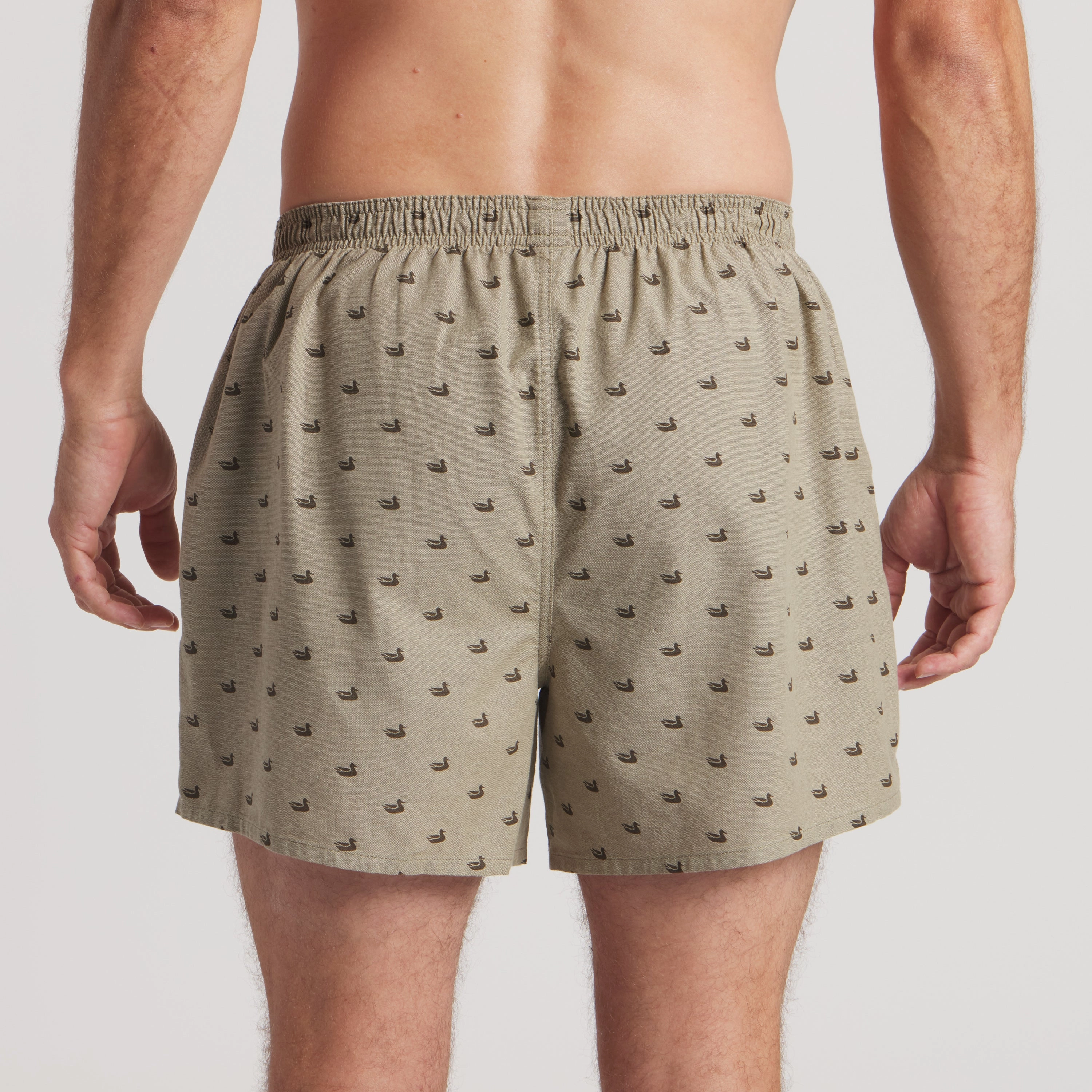 Hanover Oxford Boxer