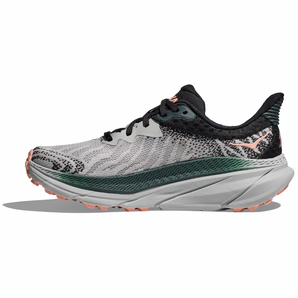 Jackal Gtx Trail-running Shoes Hoka Challenger 7 Harbor Mist/Spruce Running Shoe (Women's)