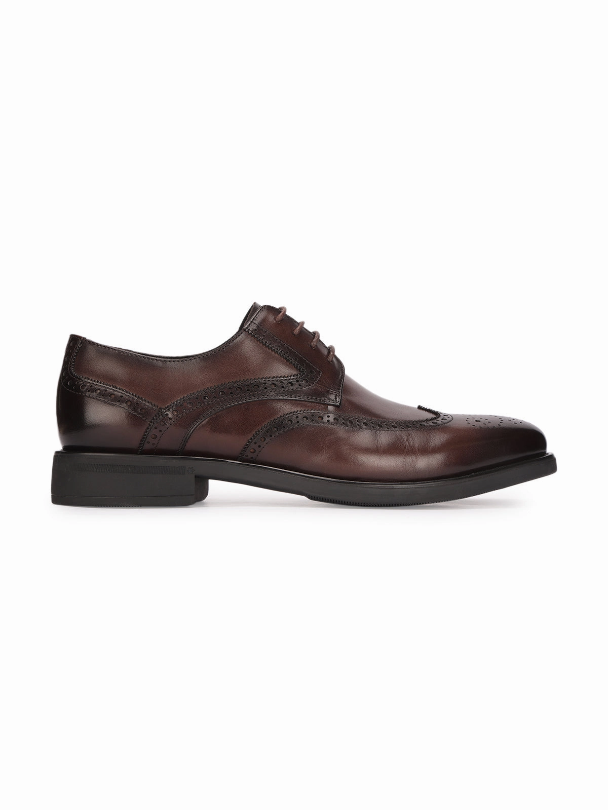 Acne Pointed Brogues Massimo Premium Leather Brogues