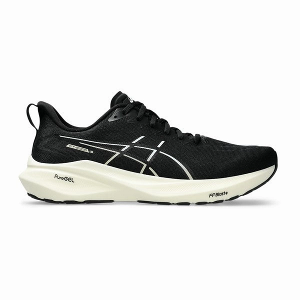 Mens Asics GT-2000 13 (D-Width) Asics Roadhawk Ff 2 Running Shoes