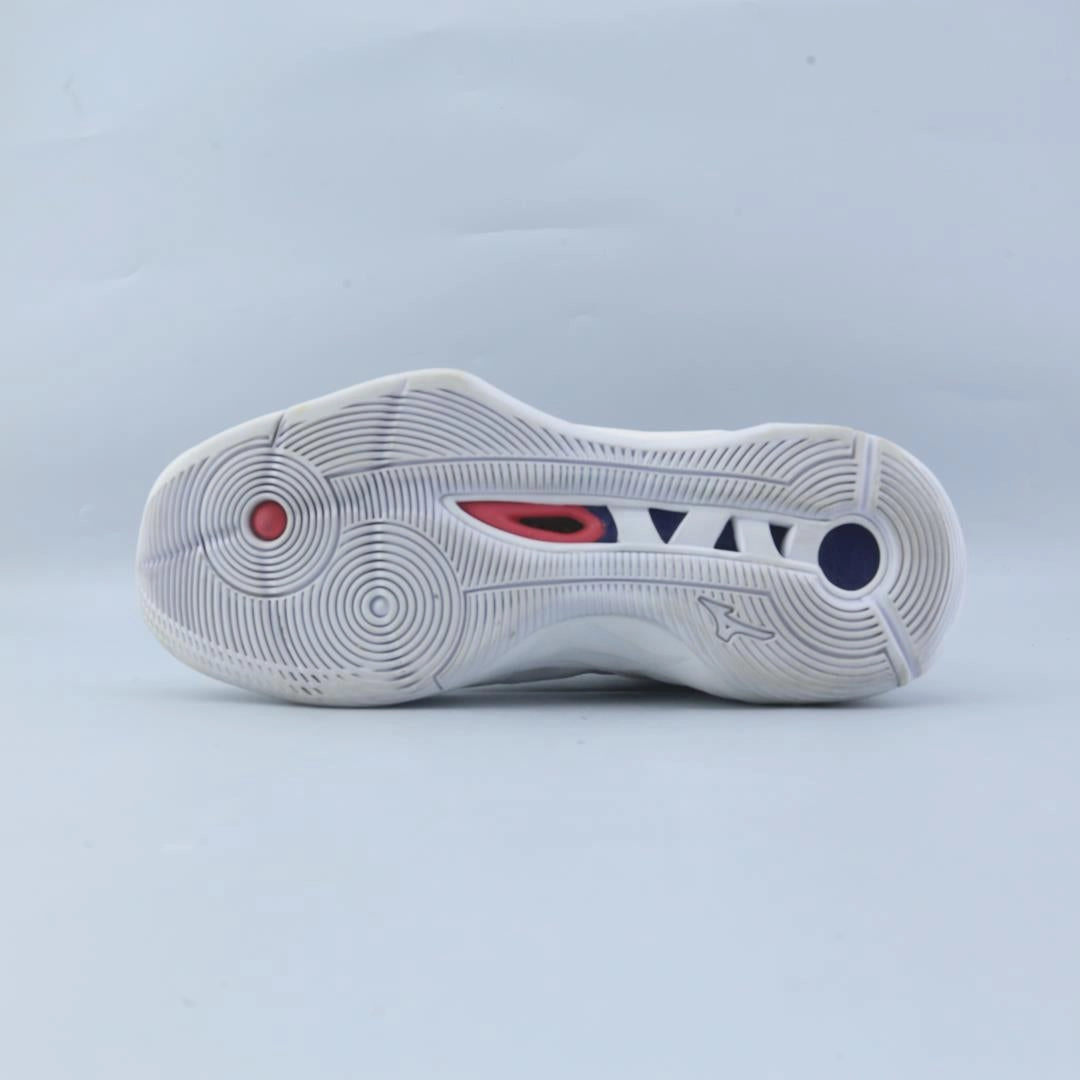 Basketball Shoes Team MIZUNO  WAVE MOMENTUM 2