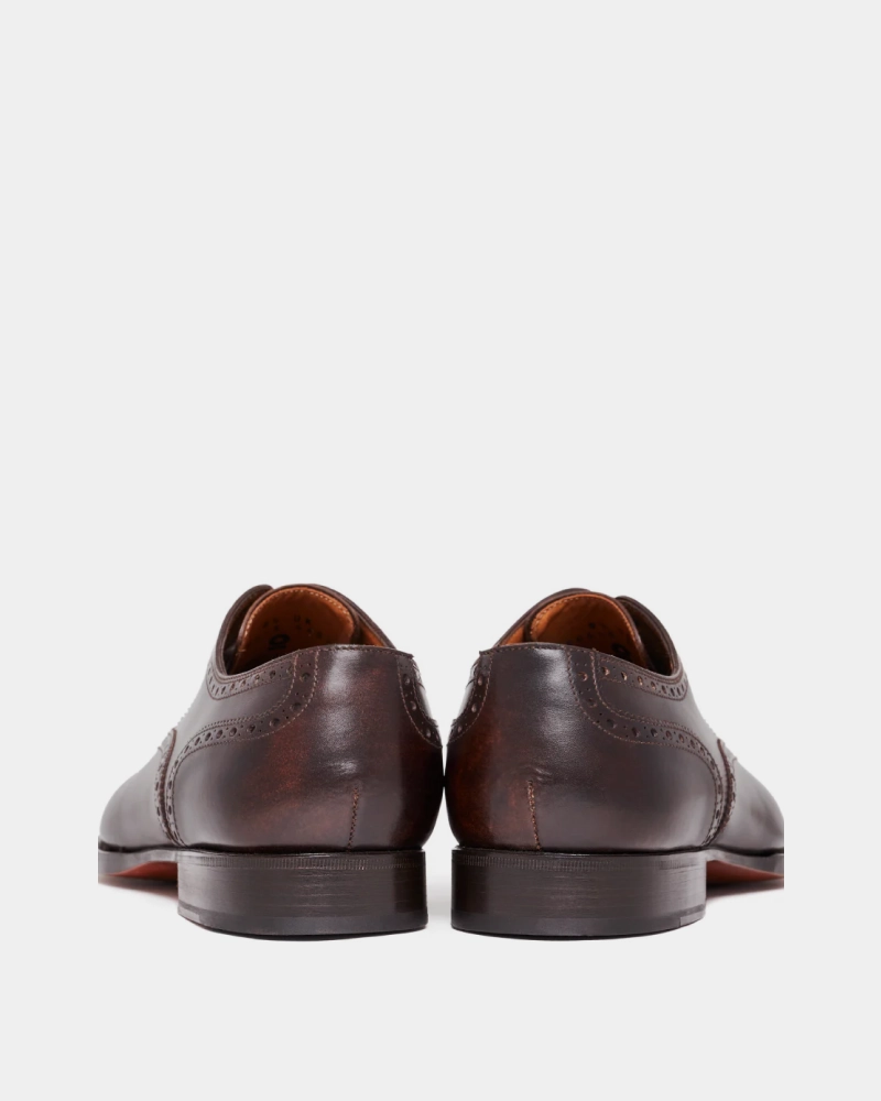 Museum Brown Brogue Oxford Shoe Jack Purcell Leather Oxfords