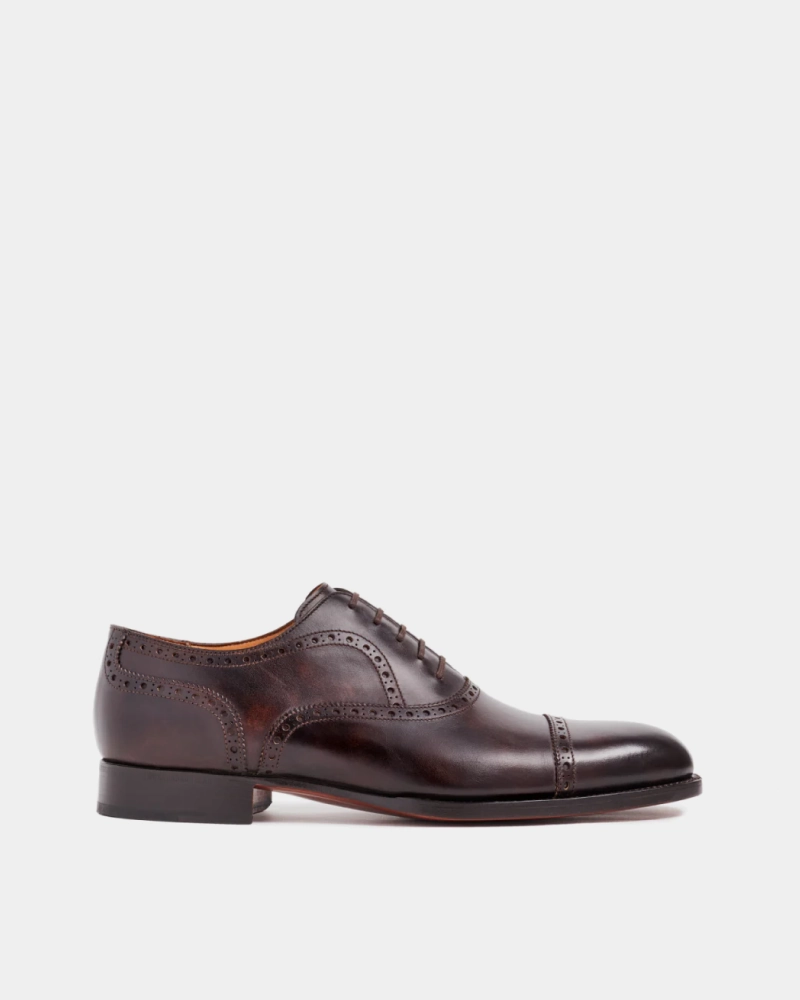 Museum Brown Brogue Oxford Shoe Enzo Oxfords