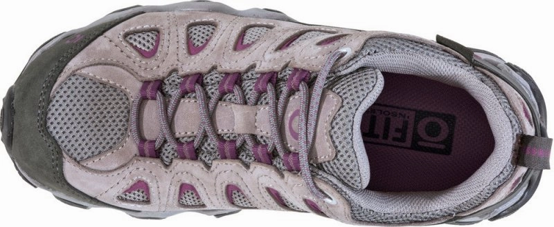 Oboz Women's Sawtooth II Low Waterproof - Pewter/Violet Newton Ridge Plus Ii Hiking Boot