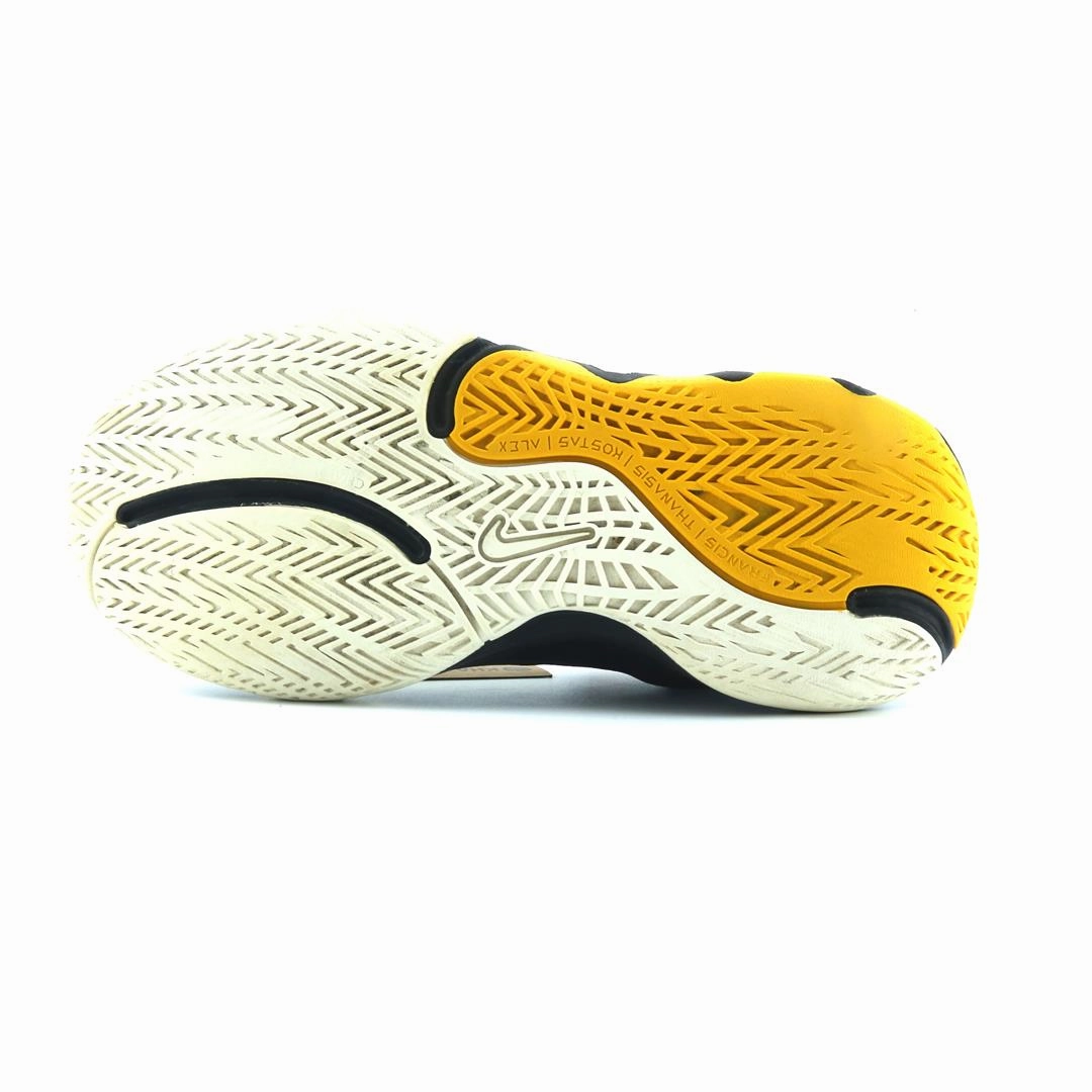 Squatting In Basketball Shoes NIKE GIANNIS IMMORTALITY 2 GS