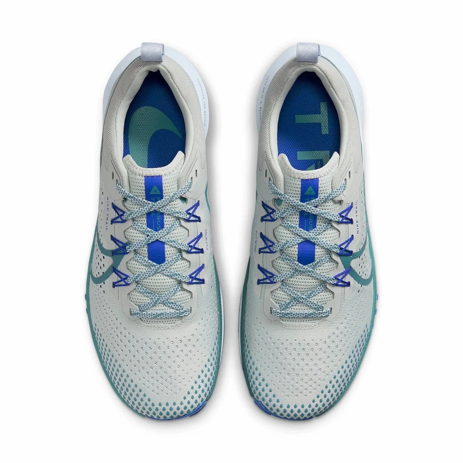 Nike Pegasus Trail 4 DJ6158-005 Sneakers Mens Light Silver Low Top Running Shoes Back Of Nike Shoes