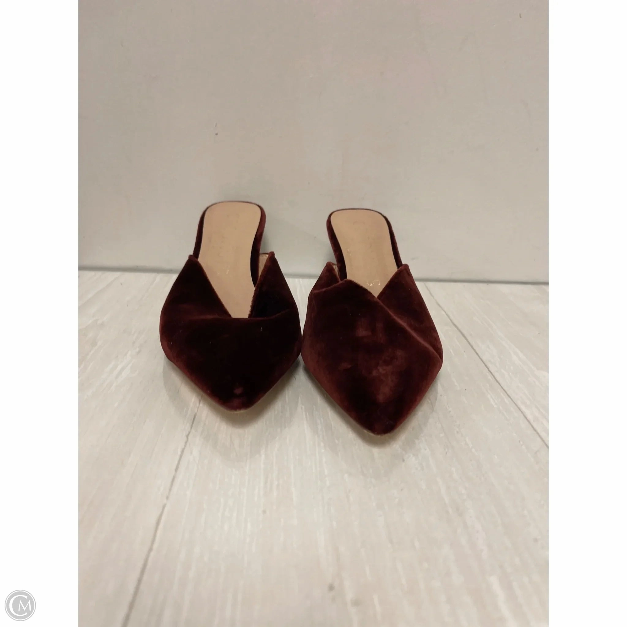 Shoes Heels Kitten By Coconuts In Brown, Size: 6 Quality Heel Shoes