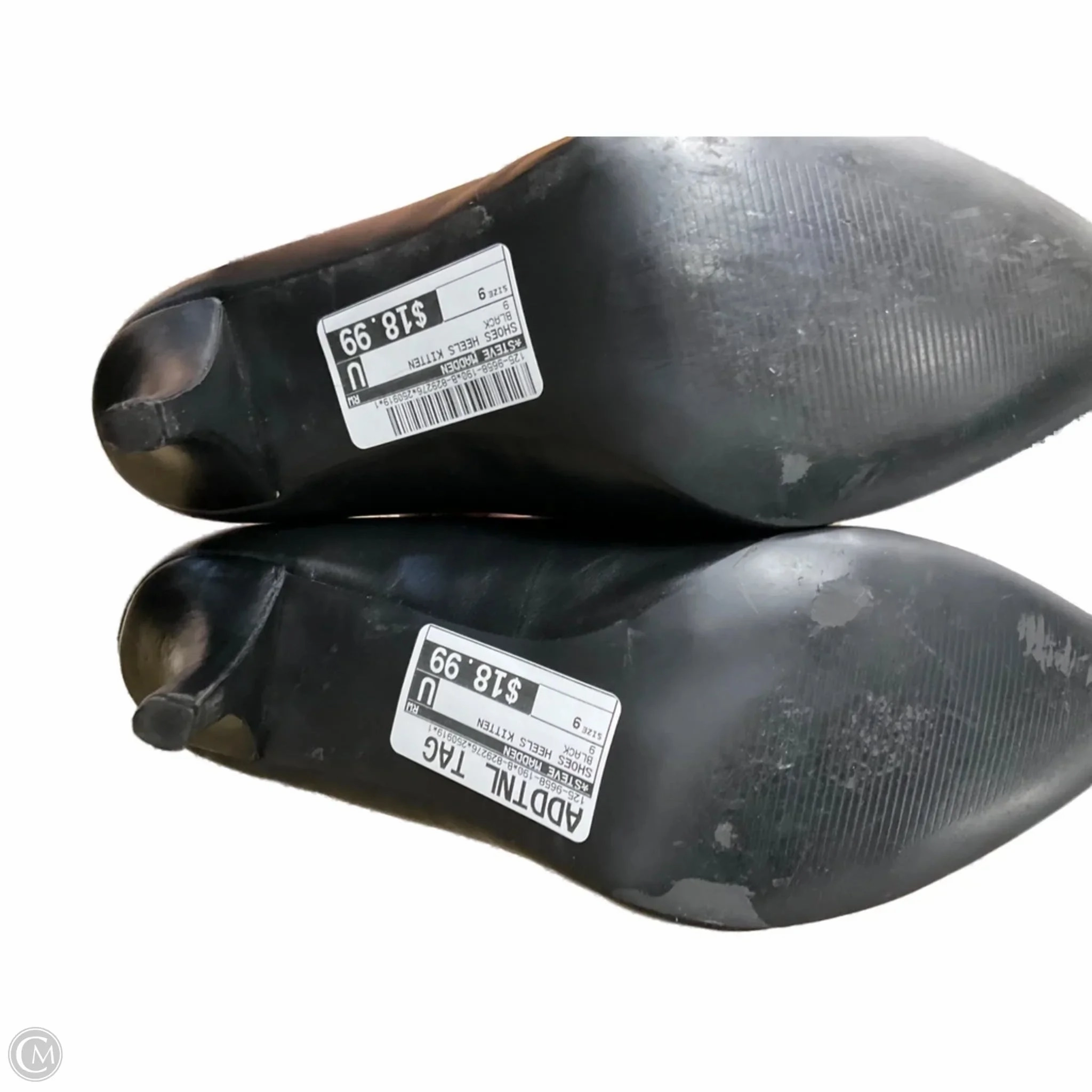 Zelensky Dance Heels Shoes Heels Kitten By Steve Madden In Black, Size: 9