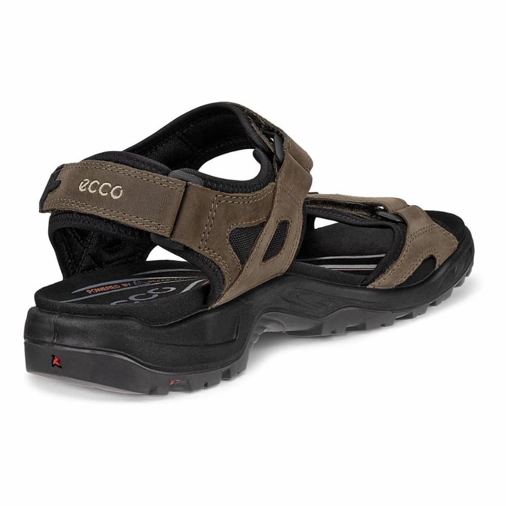 Ecco Yucatan Tarmac Nubuck Sport Sandal (Men's) Bottoms Sandals