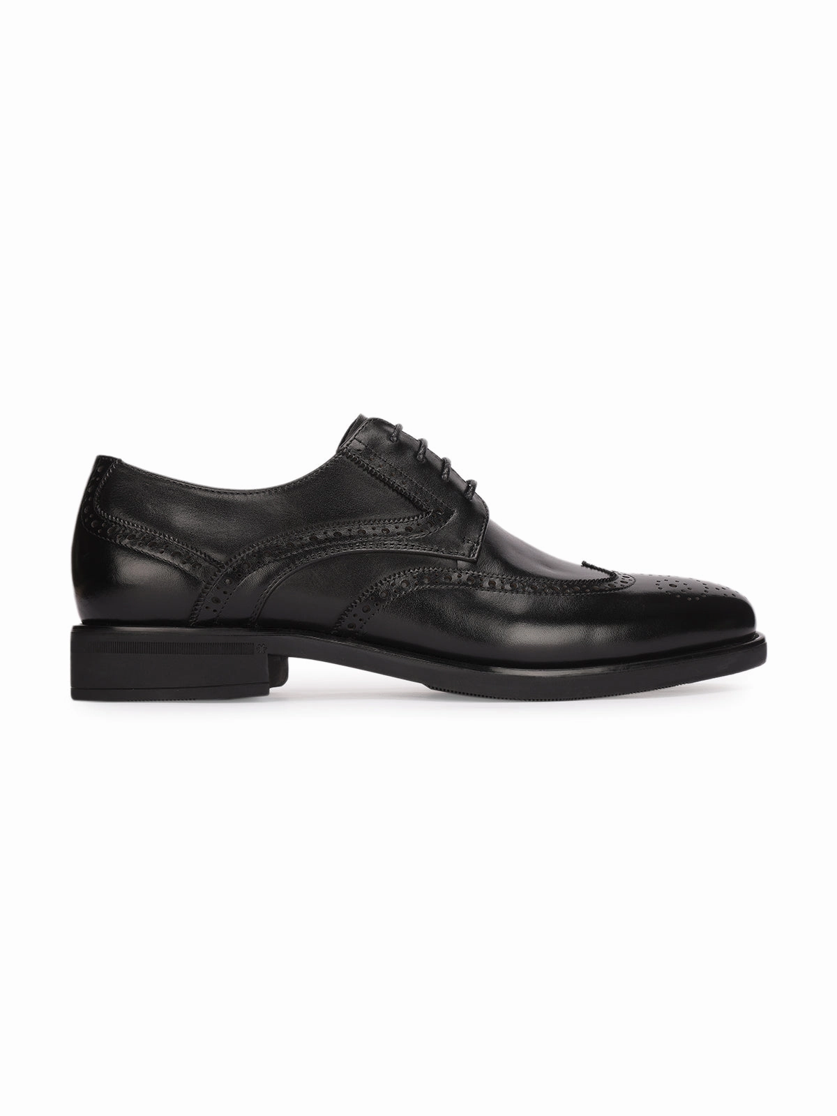 Brogue Definition Massimo Premium Leather Brogues
