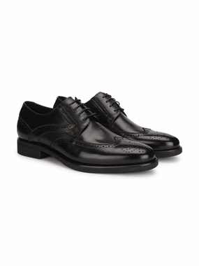 Bass Brogues Massimo Premium Leather Brogues